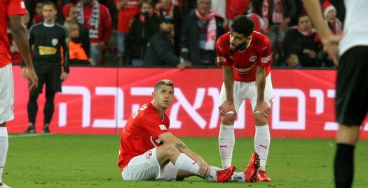 מליקסון על הדשא (משה חרמון)